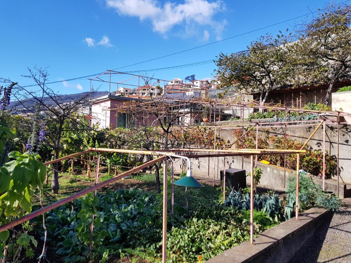 Quinta Do Bom Sucesso Apartment *